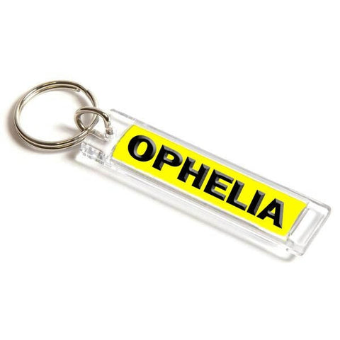 Personalised Number Plate Keyring 53mm x 10mm